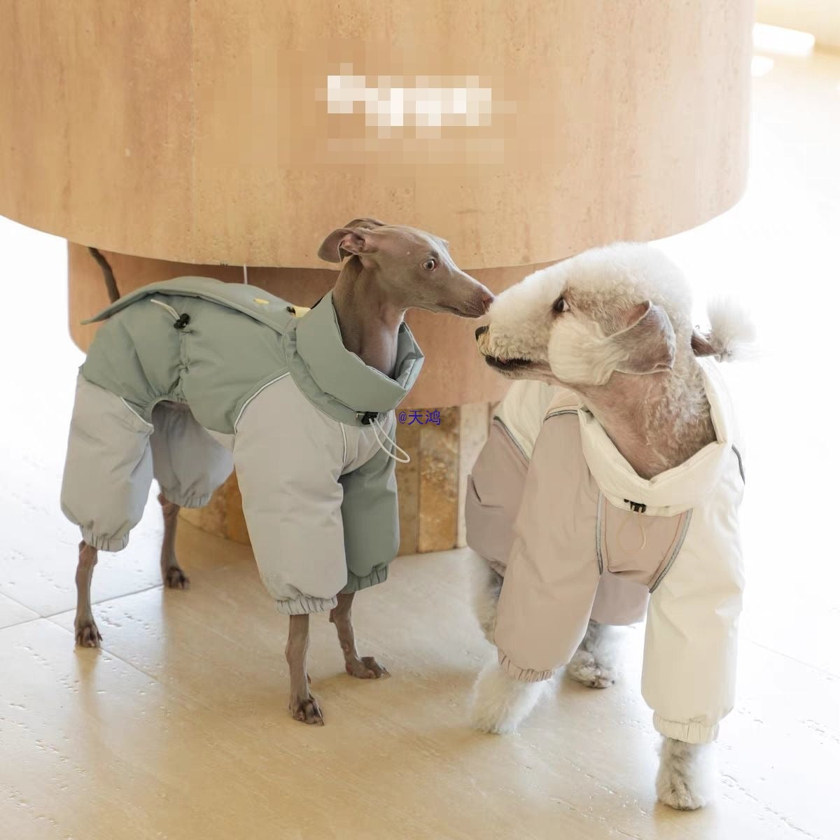 Hundemantel für mittelgroße Hunde, hoher Kragen, Baumwolle, Herbst/Winter, winddicht, warm, Öko-Baumwolle